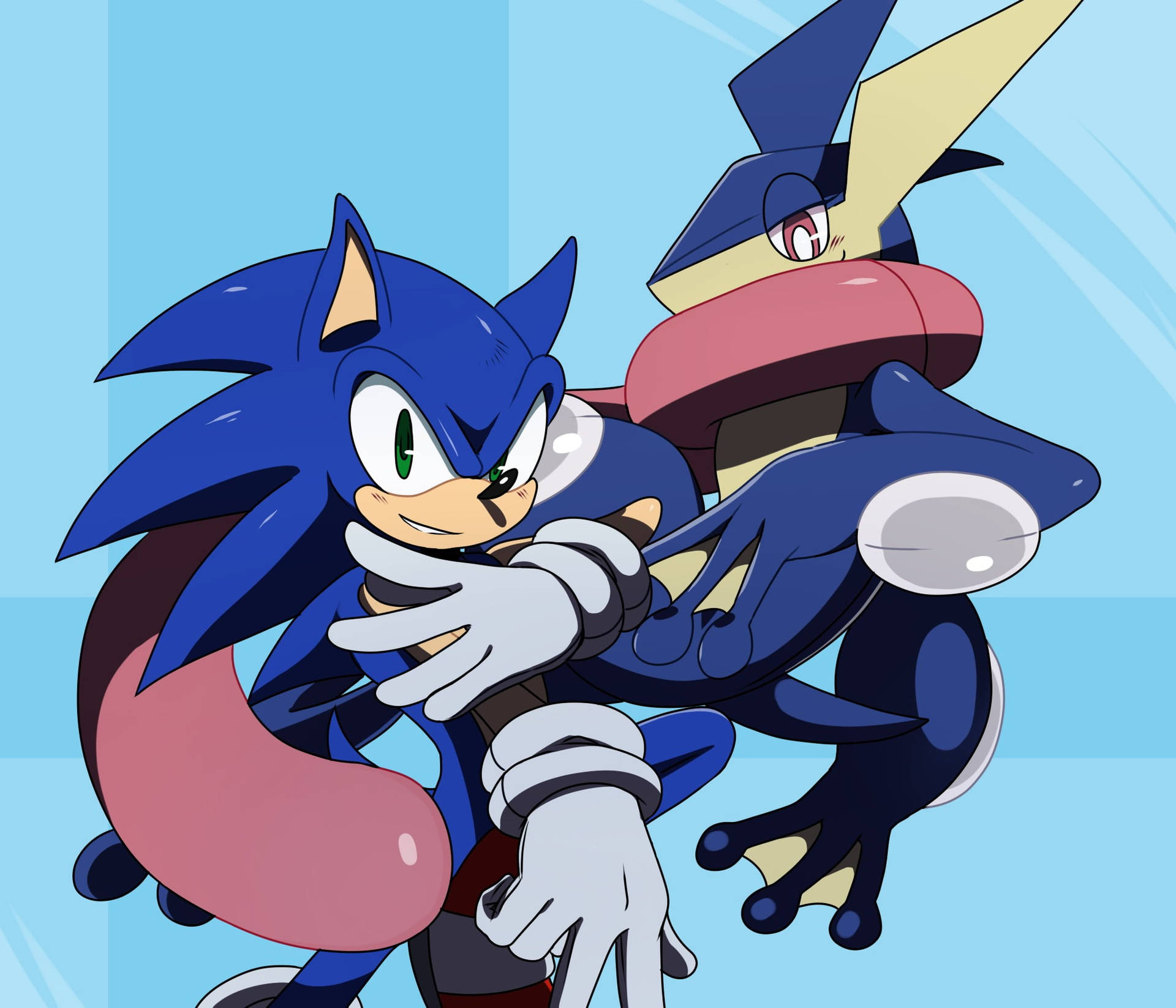 Greninja And Sonic