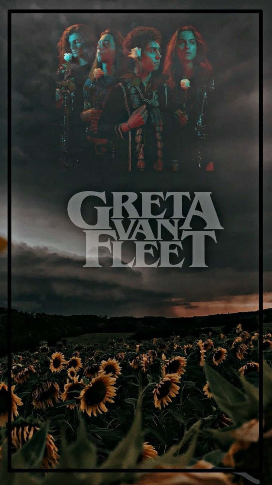 Gretavan Fleet, Band Rock, Immagine Artistica Di Fiore Di Girasole. Sfondo