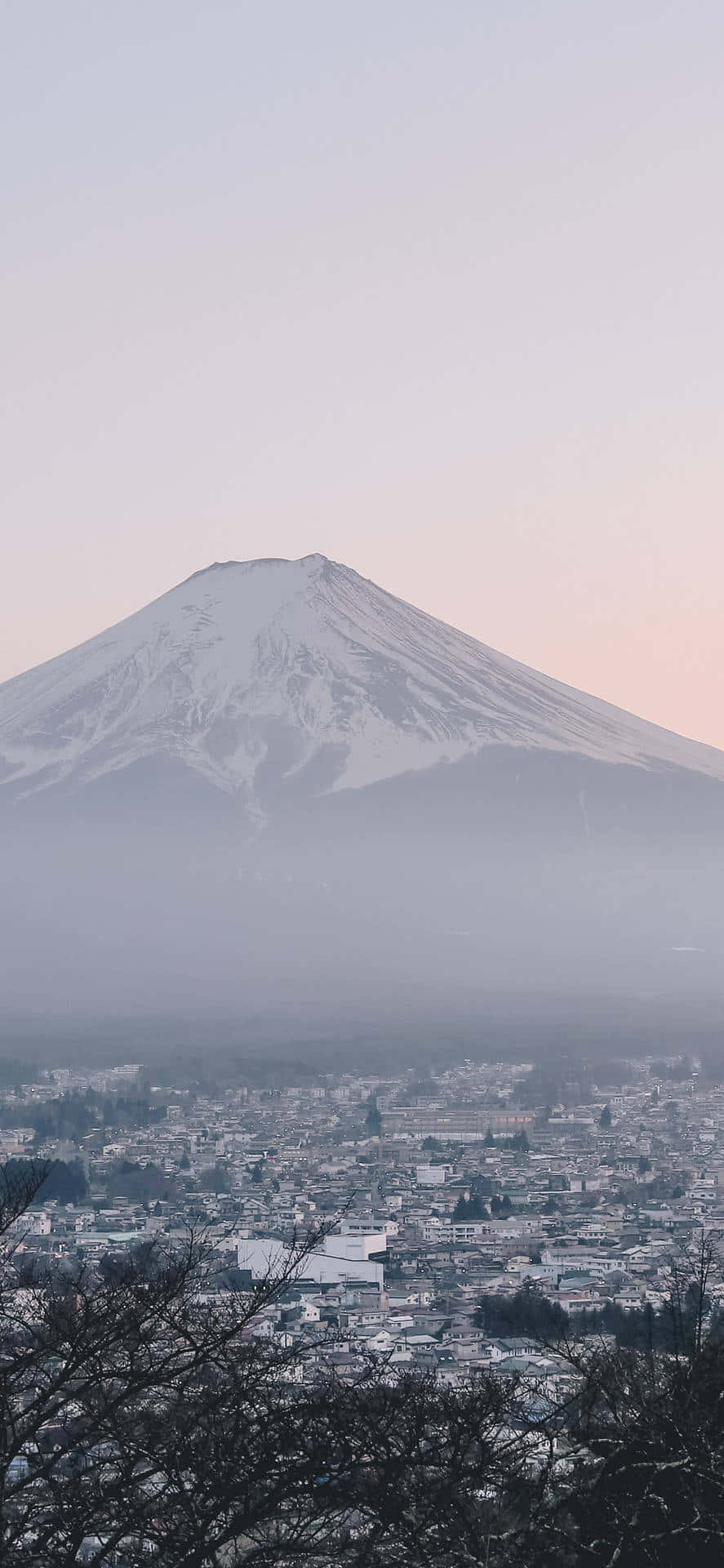 A calm and peaceful moment within the grey aesthetic