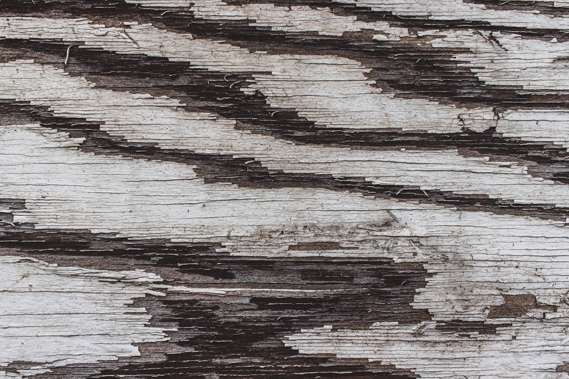 Grey And Black Textured Wood