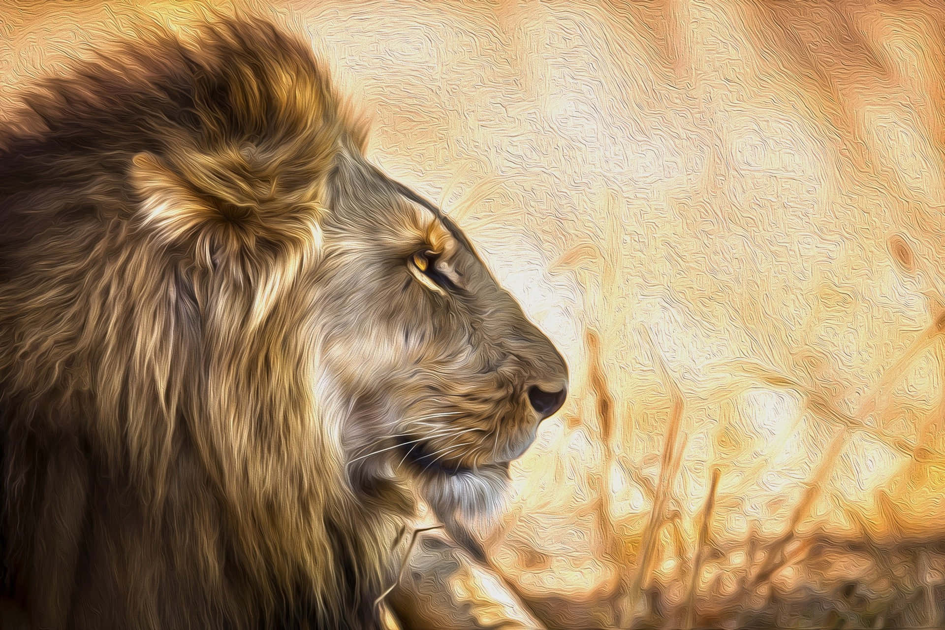 Grey And Brown Lion Face Wallpaper