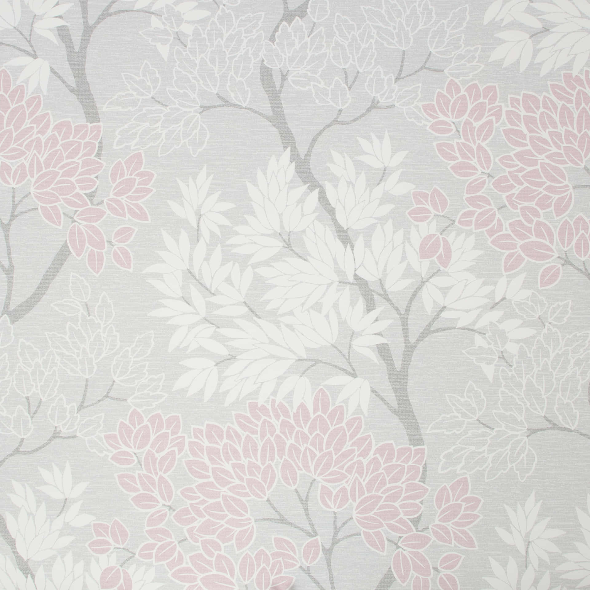“A soft gradient of grey and pink creates an elegant and uplifting look.” Wallpaper
