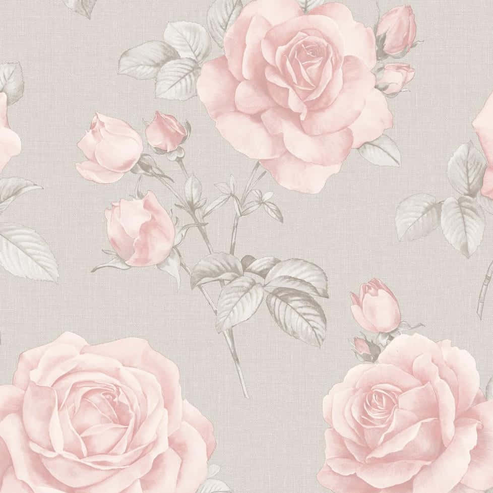 A calming blend of grey and pink Wallpaper
