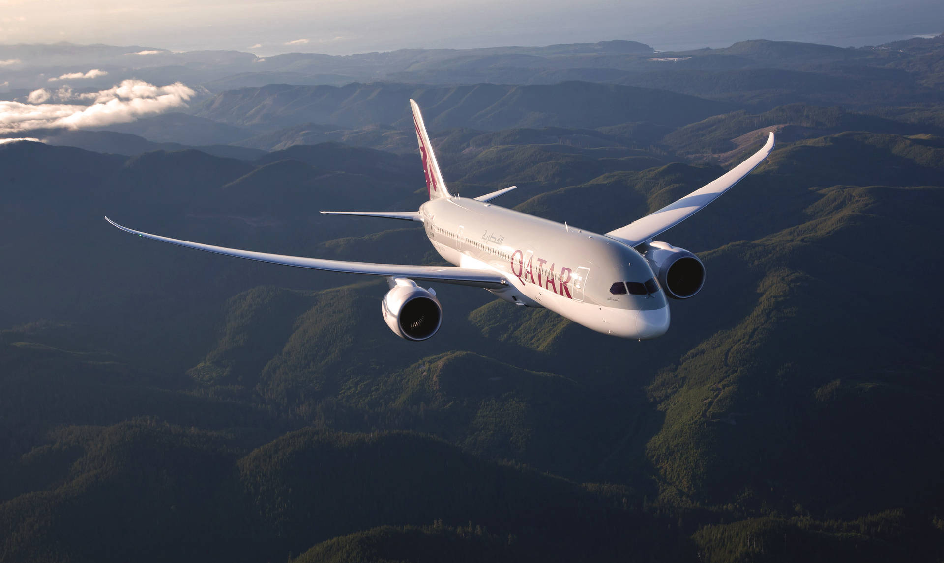 Aviónde Qatar En Gris Y Blanco En Resolución 4k Fondo de pantalla