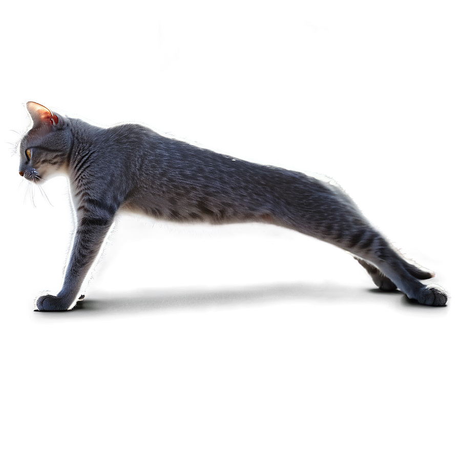 Grey Cat Stretching Png Ihc8 PNG