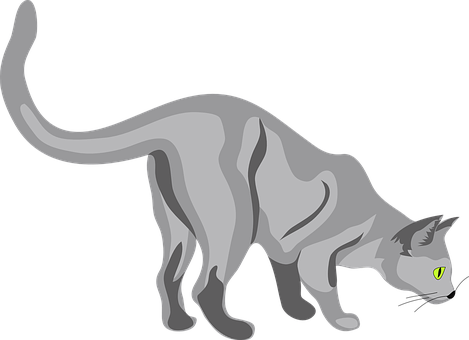 Grey Cat Vector Illustration PNG