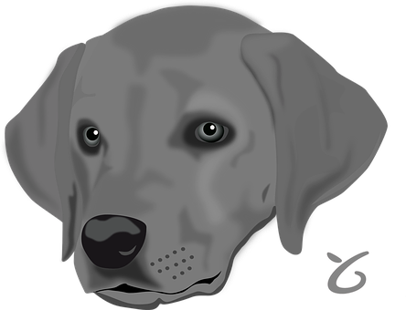 Grey Labrador Digital Art PNG