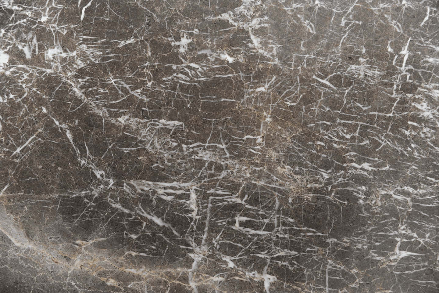 Grey Marble transformed into a stylish and sophisticated backdrop
