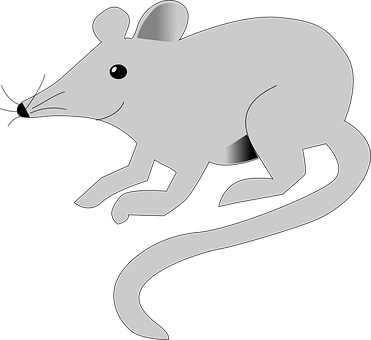 Grey Mouse Graphicon Black Background PNG