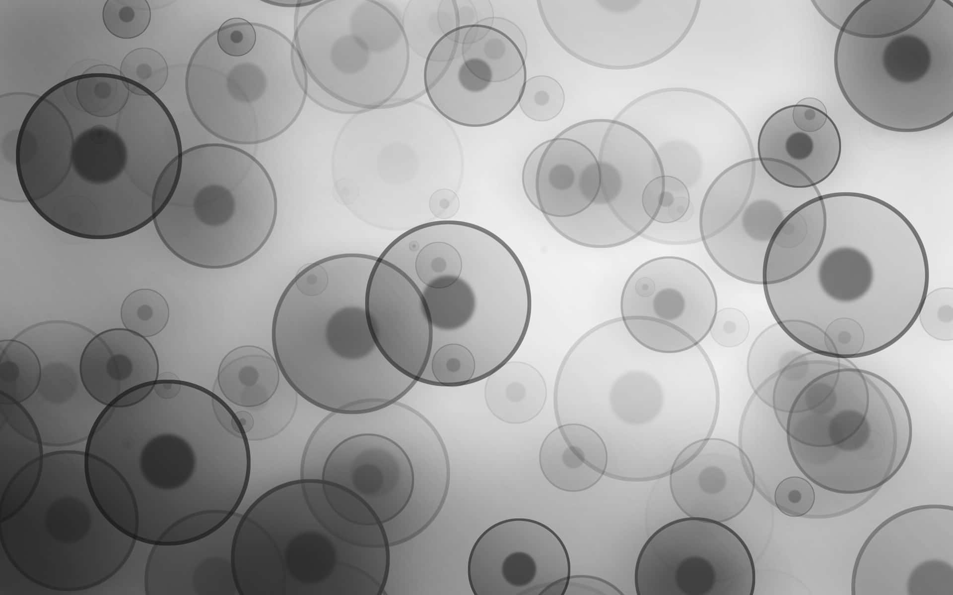 Black And White Circles On A White Background