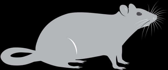 Grey Rat Silhouette PNG