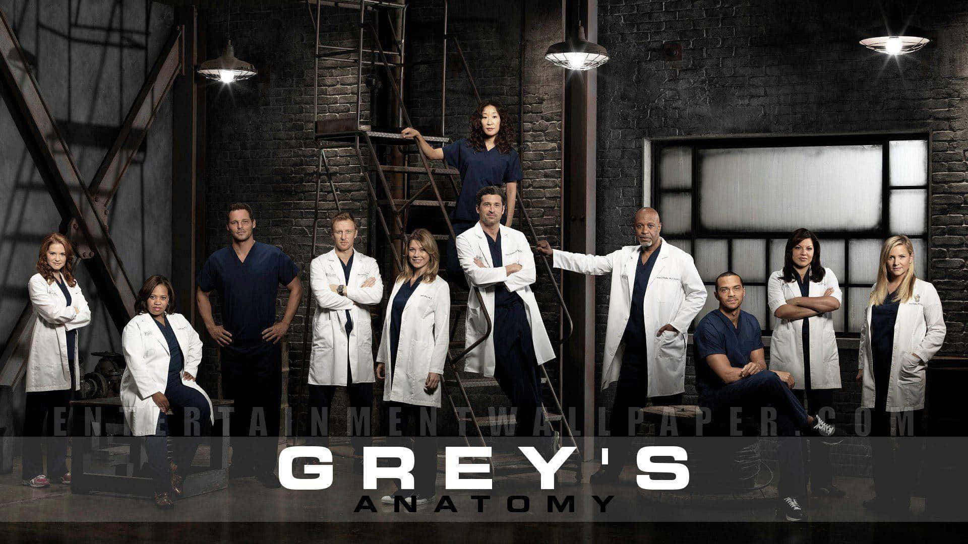 Relive the drama and life of Grey's Anatomy