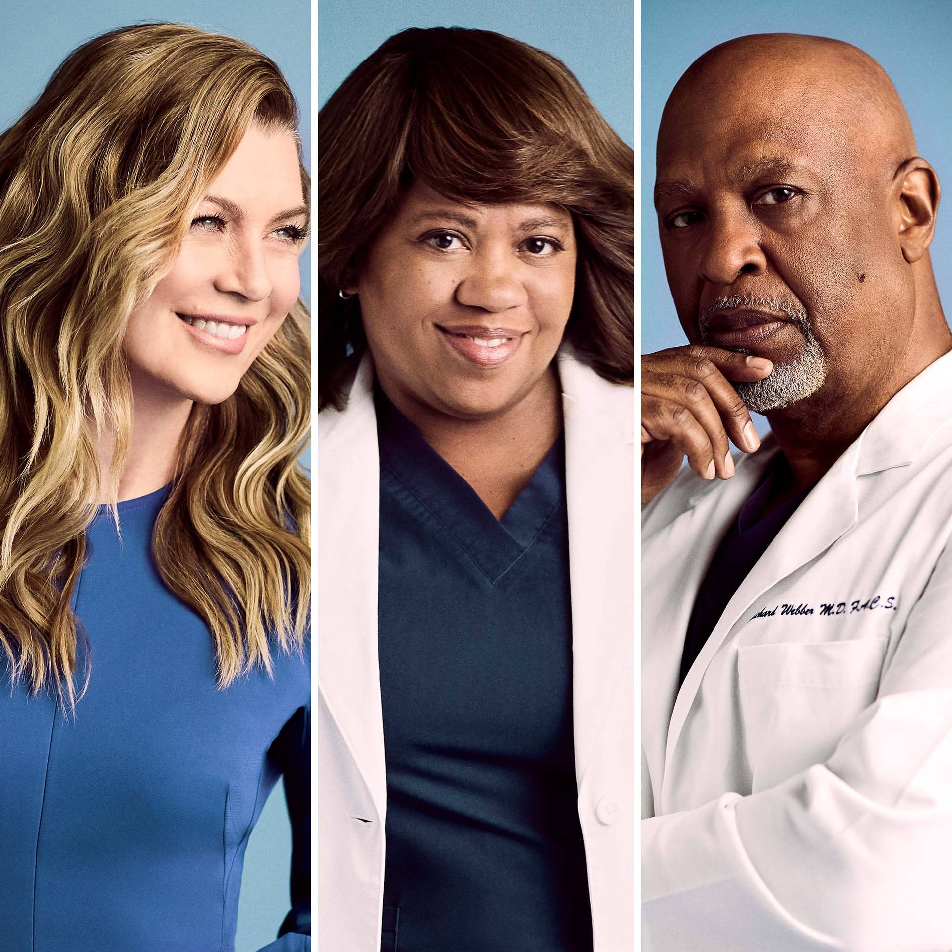Grey's Anatomy Doctors Collage
