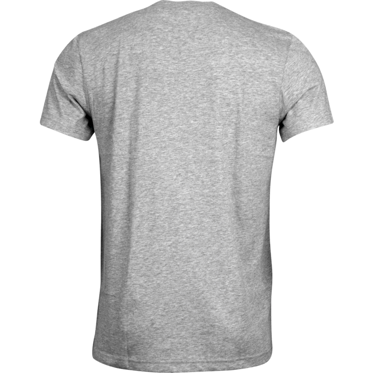 Grey T Shirt Back View PNG