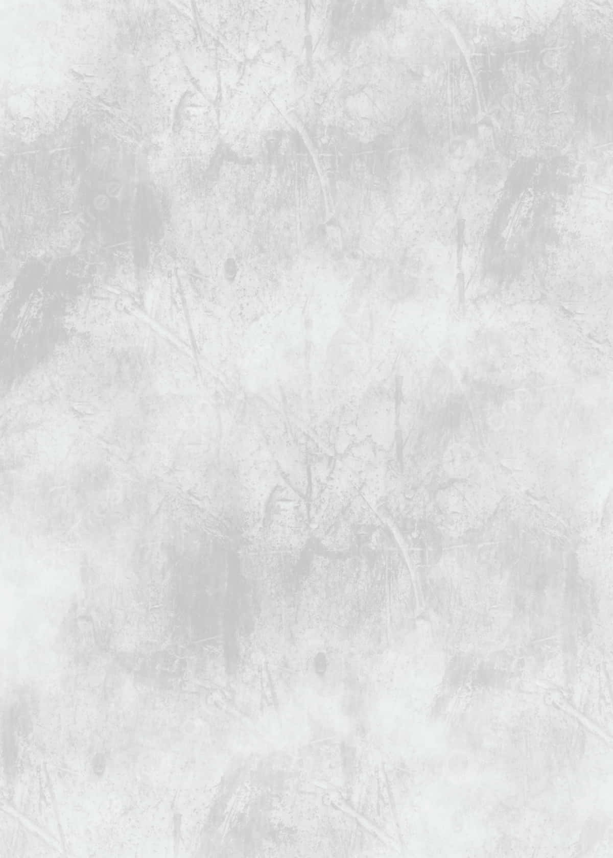 Download A White And Gray Background With A Lot Of Texture | Wallpapers.com