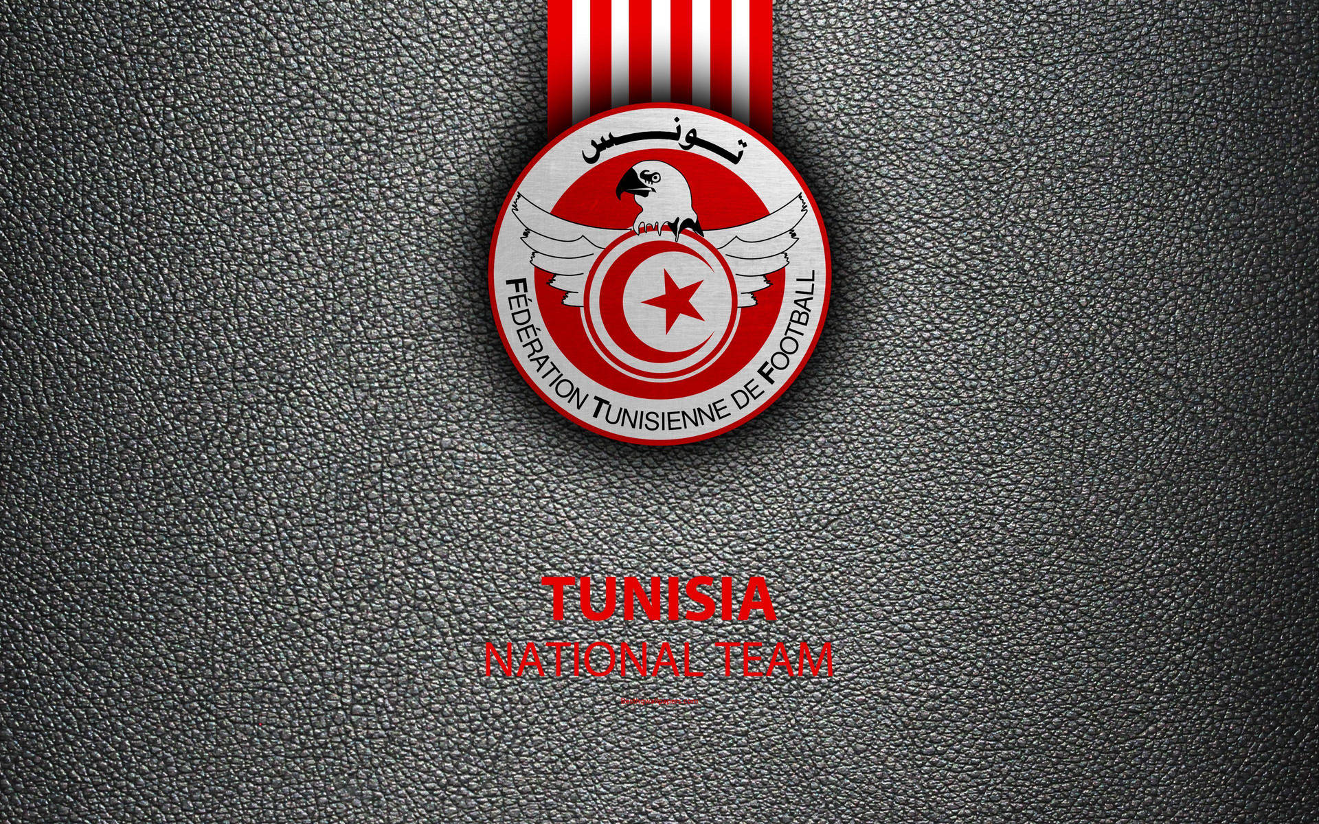 Grey Tunisia National Football Team Logo Wallpaper