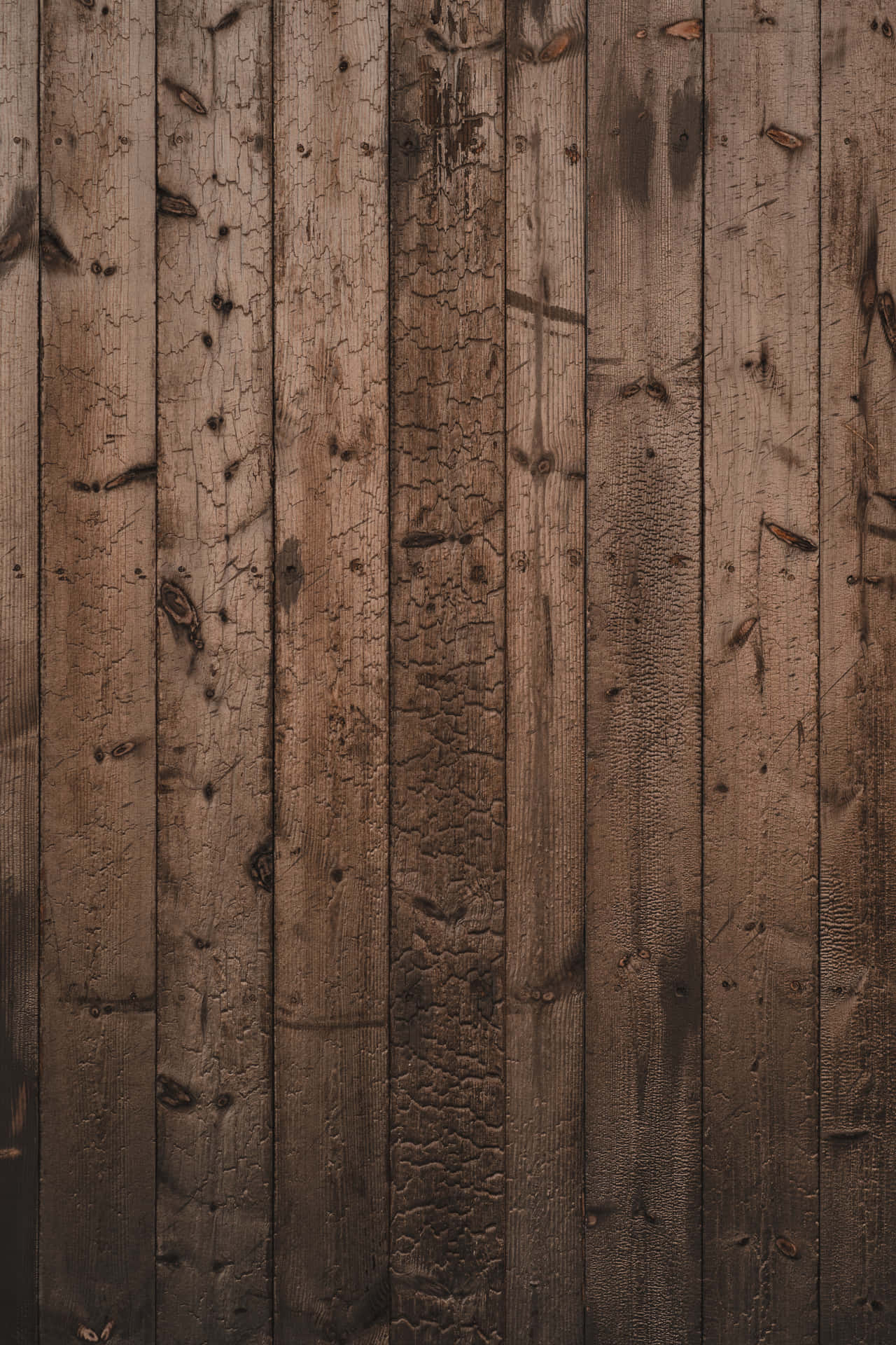 An Abstract Grey Wood Background