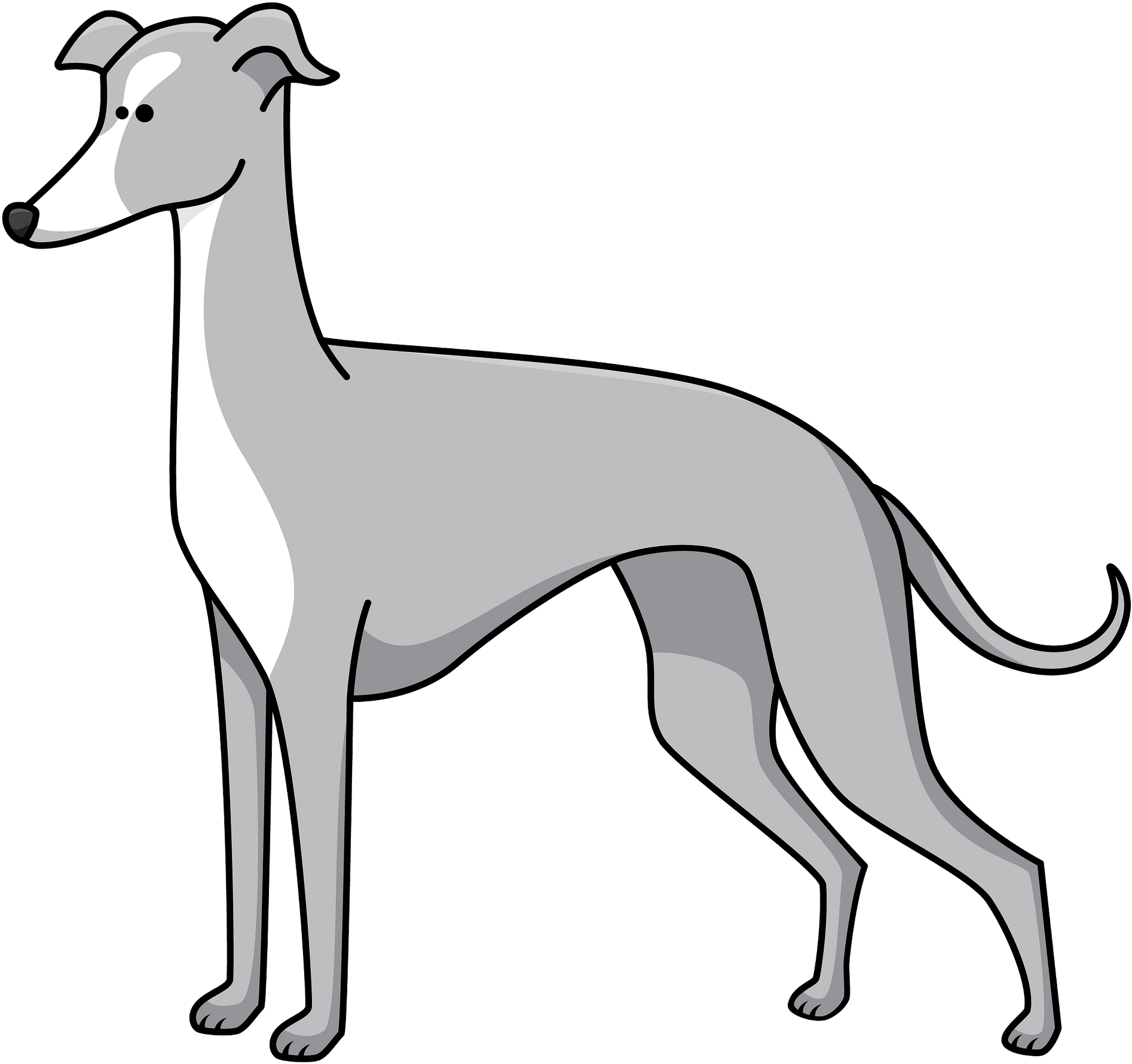 Greyhound Cartoon Illustration PNG