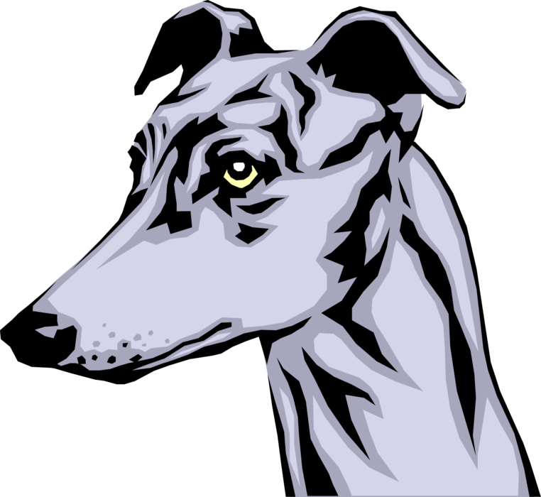 Greyhound Vector Art PNG