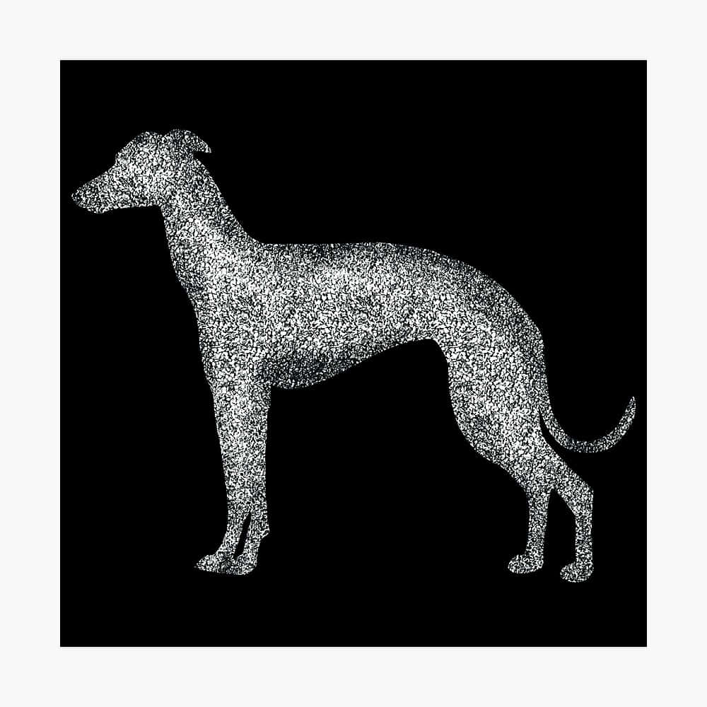 Greyhoundhintergrund