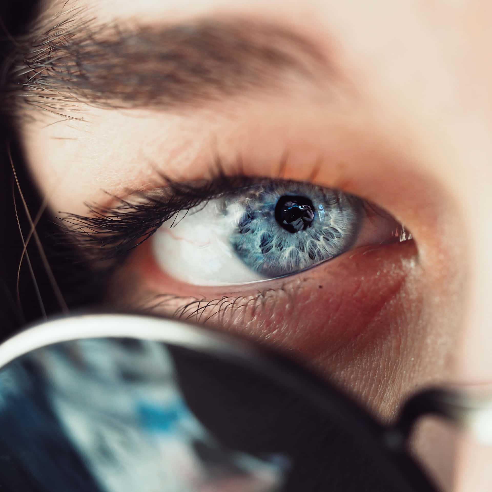 Primopiano Di Occhio Grigio-azzurro Sfondo
