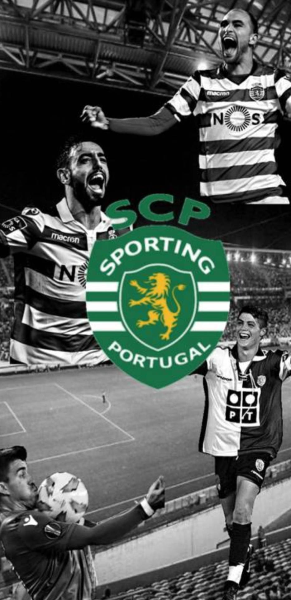 Greyscale Bruno Fernandes Sporting CP Wallpaper