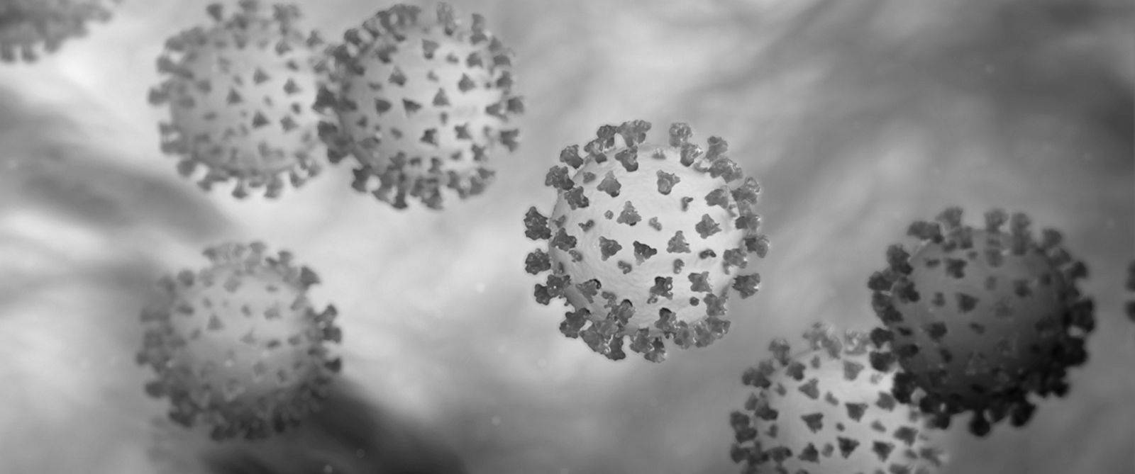 Greyscale Coronavirus Visual Background