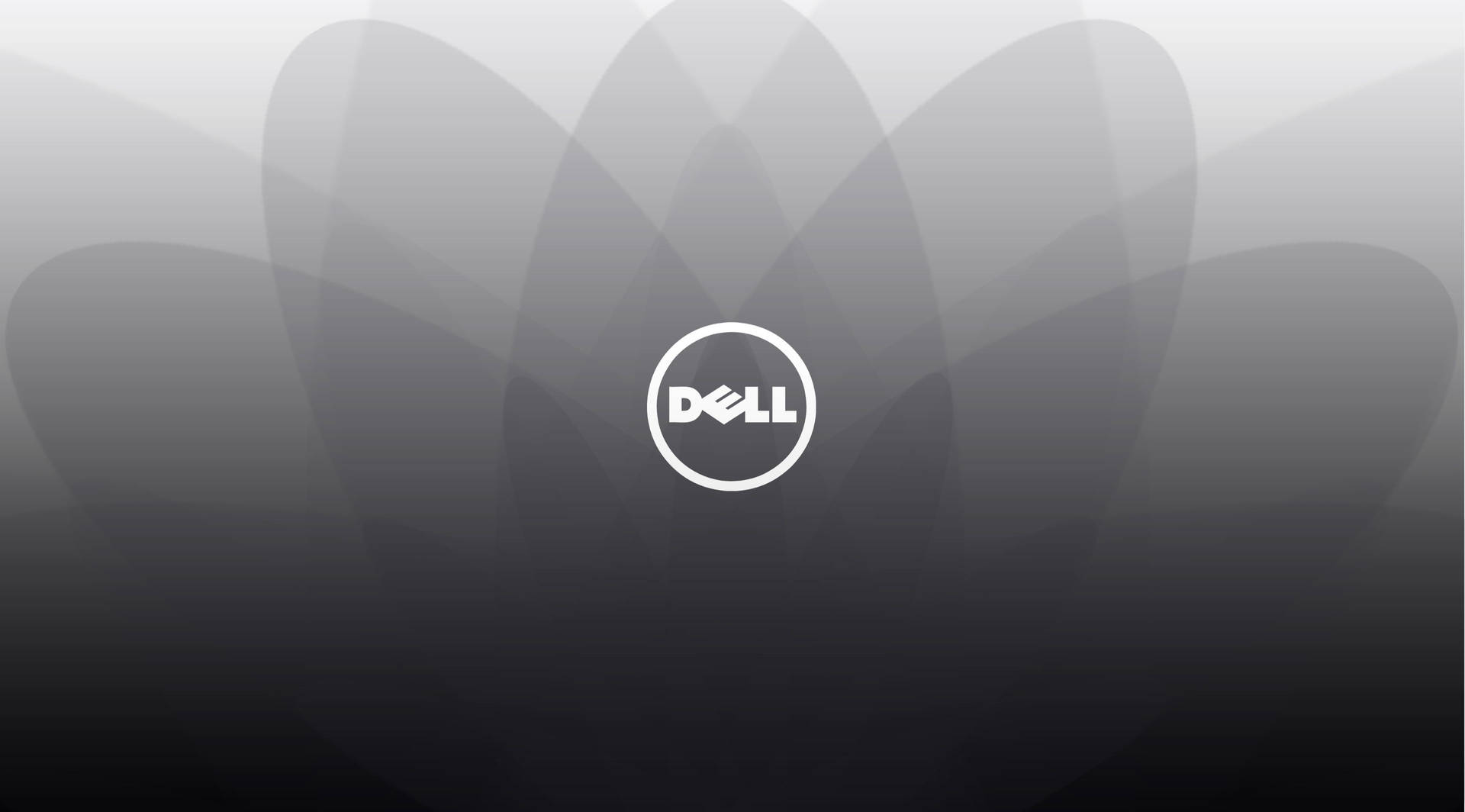 Free Dell Wallpaper Downloads, [100+] Dell Wallpapers for FREE | Wallpapers .com