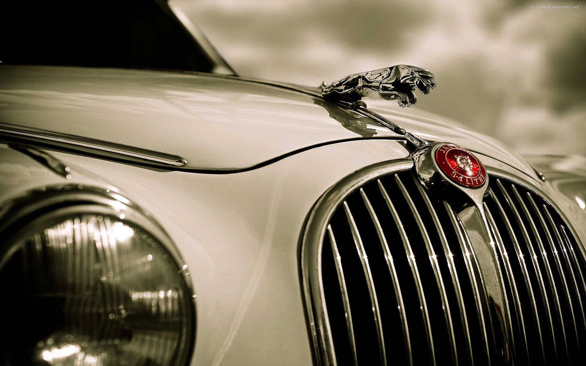 Greyscale Front Bumper Jaguar Car Wallpaper