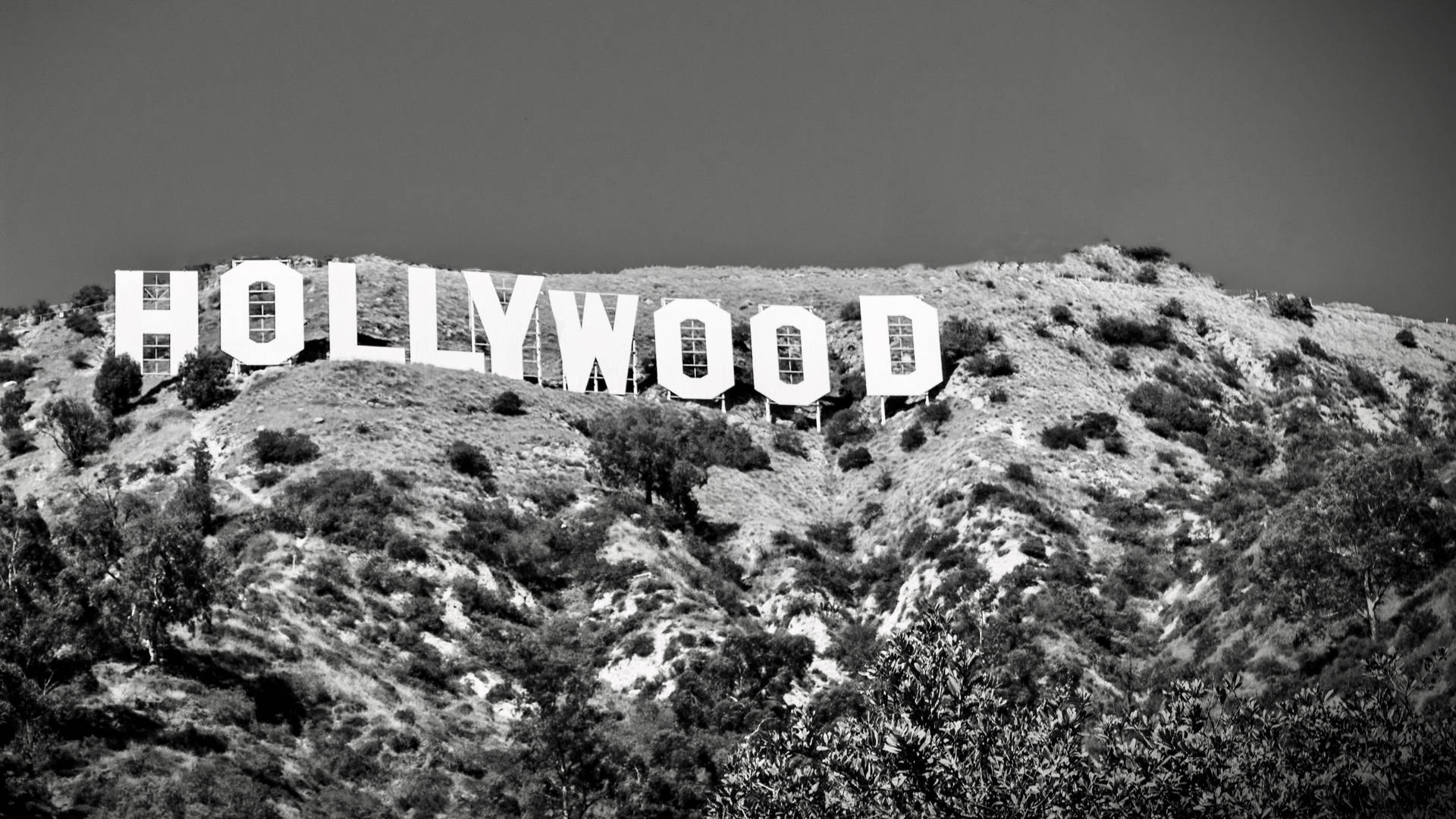 Greyscale Hollywood Sign Wallpaper