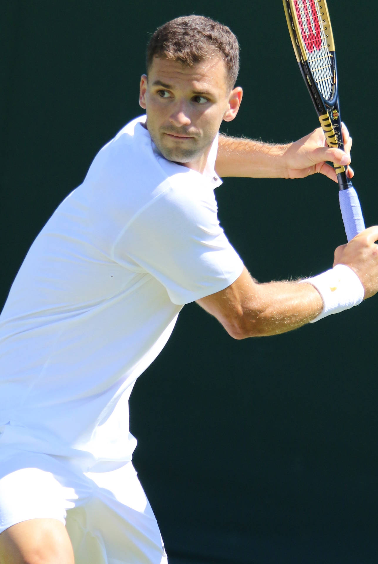 "Tennis Star Grigor Dimitrov in White Outfit." Wallpaper