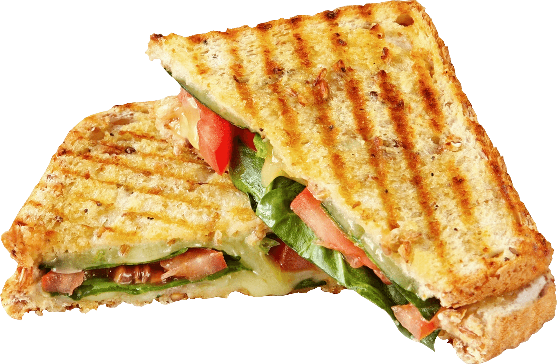 Grilled Cheese Vegetable Sandwich.png PNG