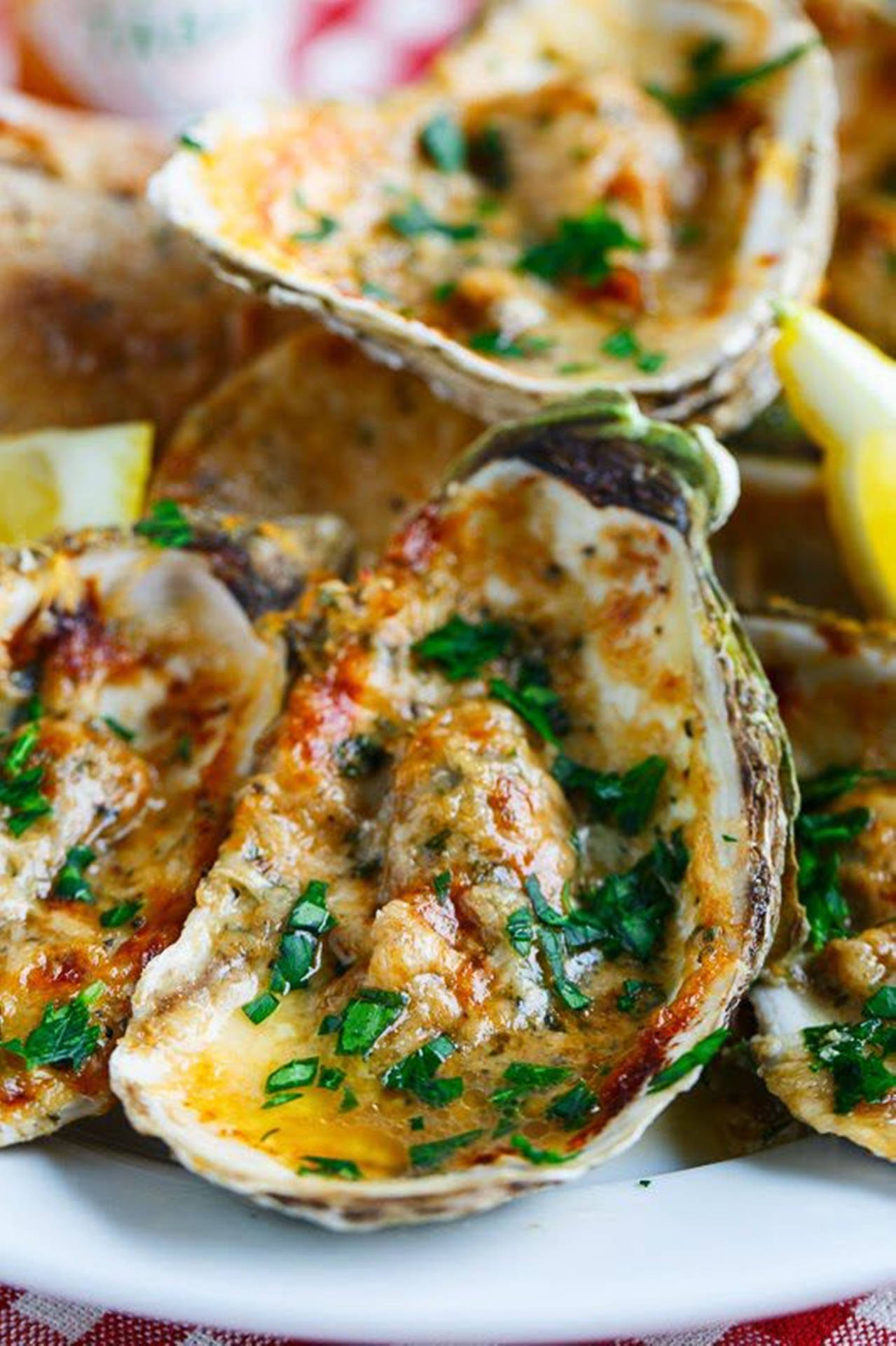Grilled Herbed Oysters Wallpaper