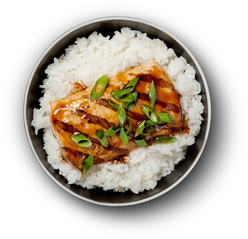 Grilled Salmon Over Rice Bowl PNG