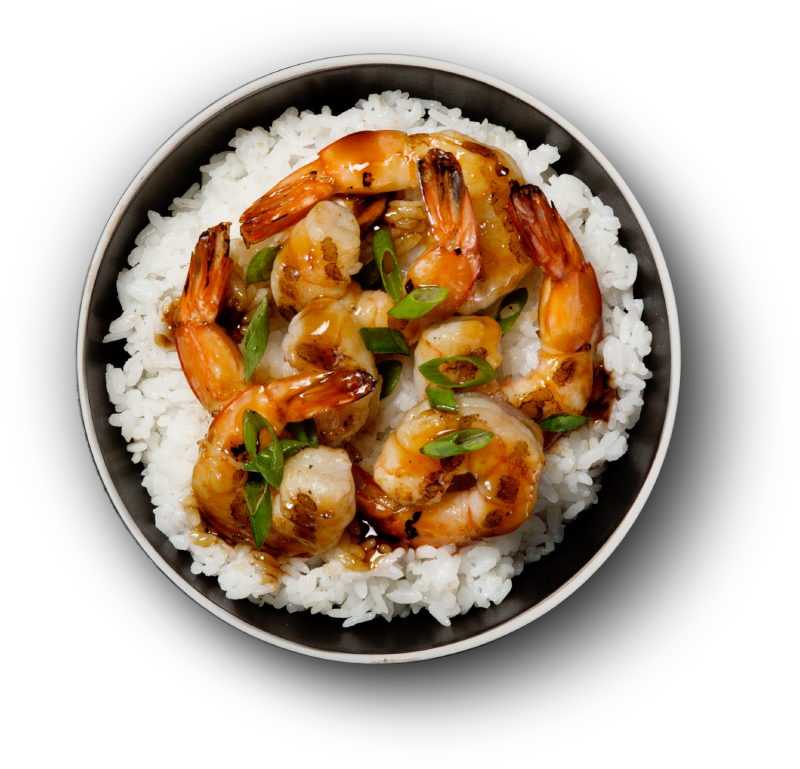 Grilled Shrimp Over Rice Bowl PNG