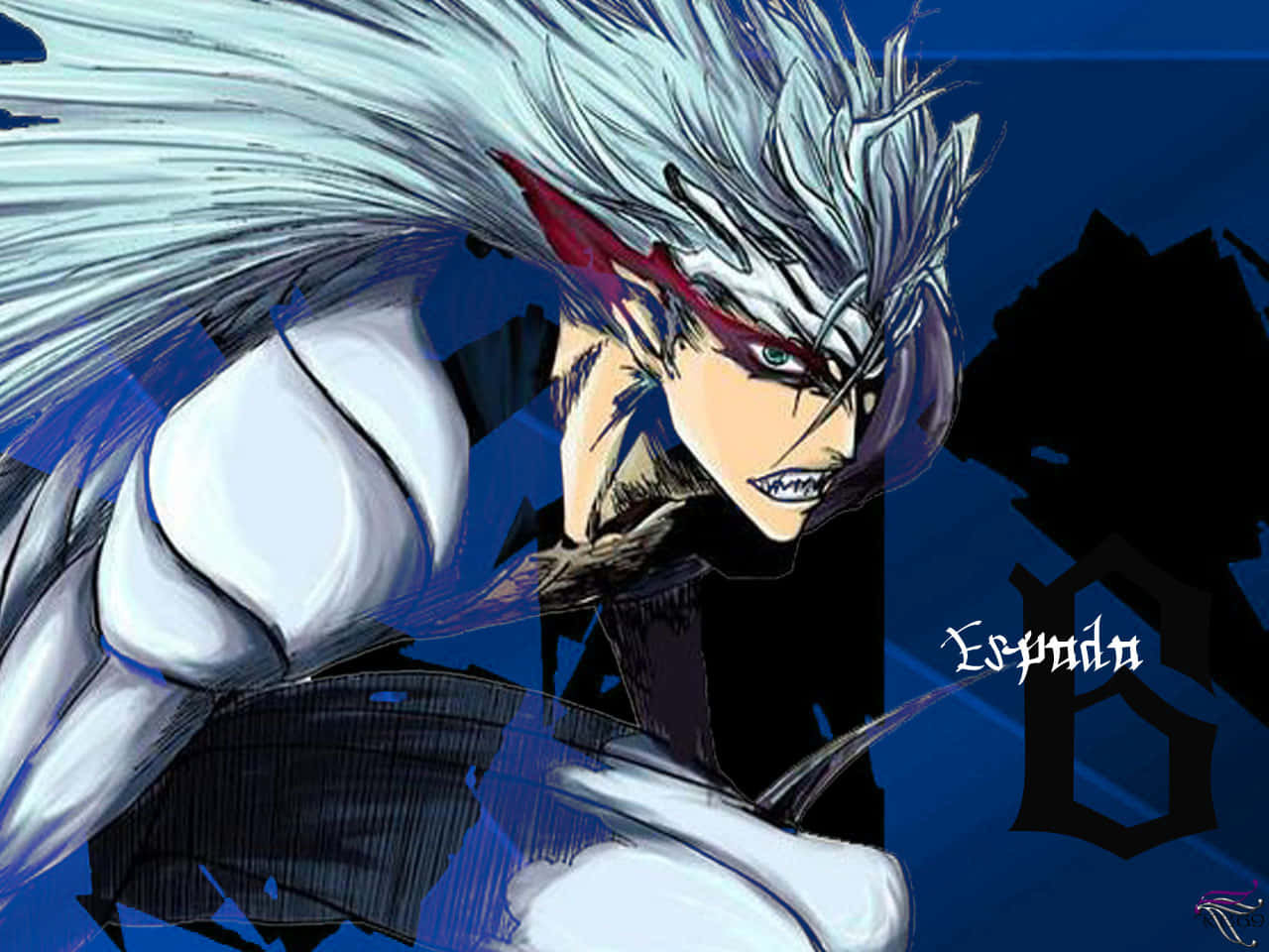 Grimmjow Jaegerjaquez from the anime series Bleach. Wallpaper