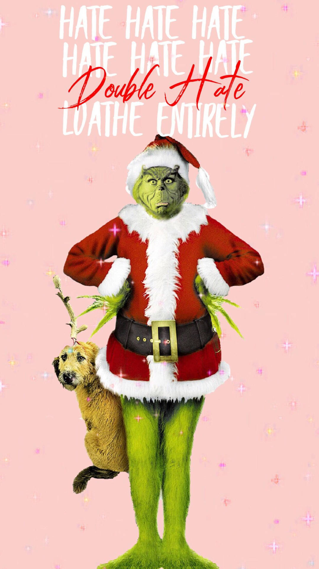 Grinch And Dog Double Hate Quotes