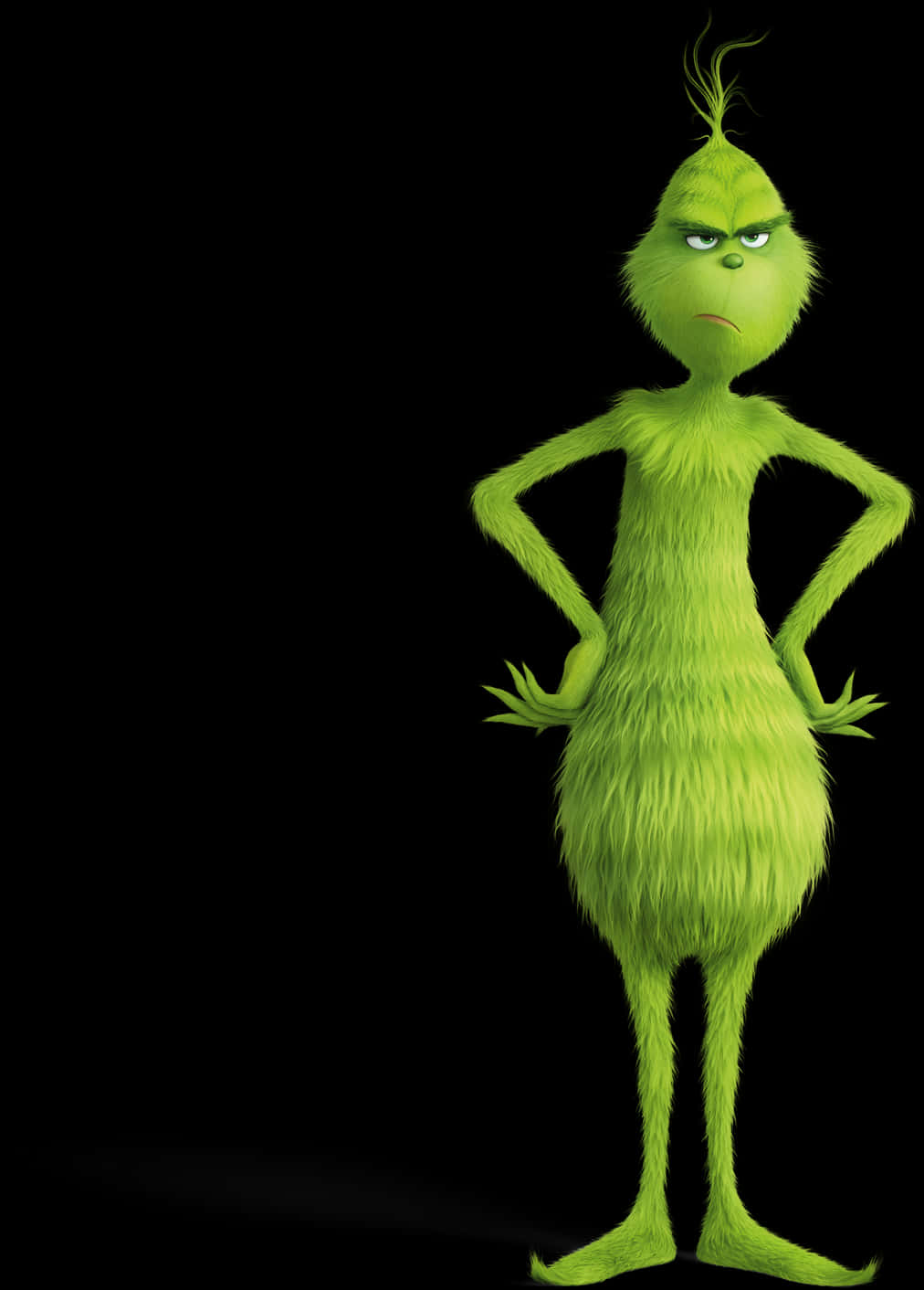 Grinch Standing Arms Akimbo PNG