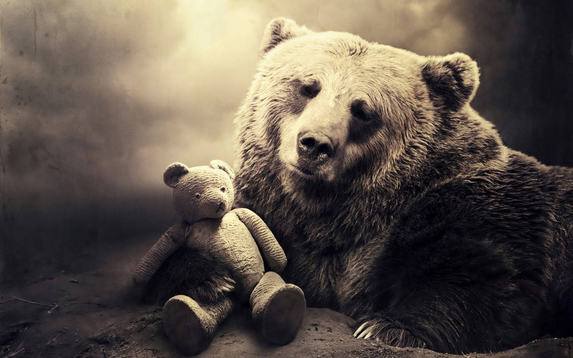 A wild grizzly bear with a cute teddy bear Wallpaper
