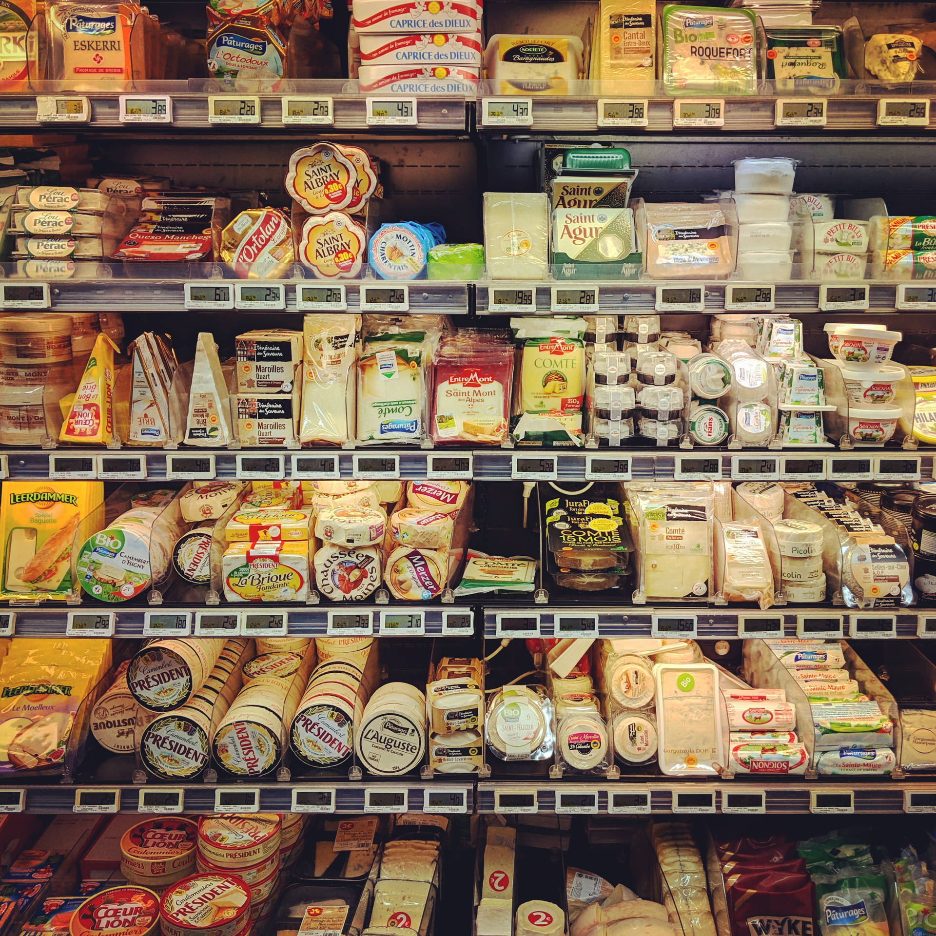 Grocery Cheese Section