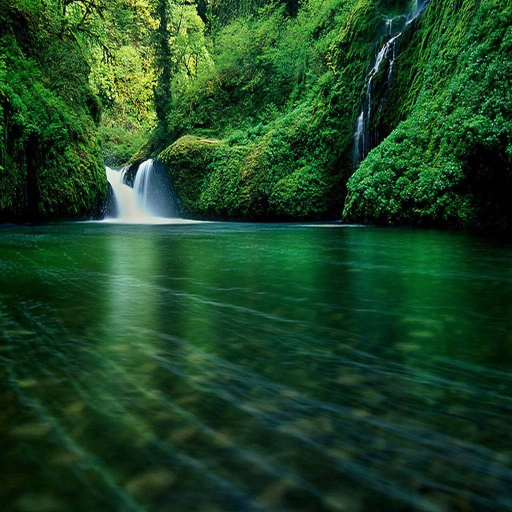Green Aesthetic Waterfall iPad Mini Wallpaper — A serene forest waterfall cascades into a clear emerald pool surrounded by lush mossy cliffs.