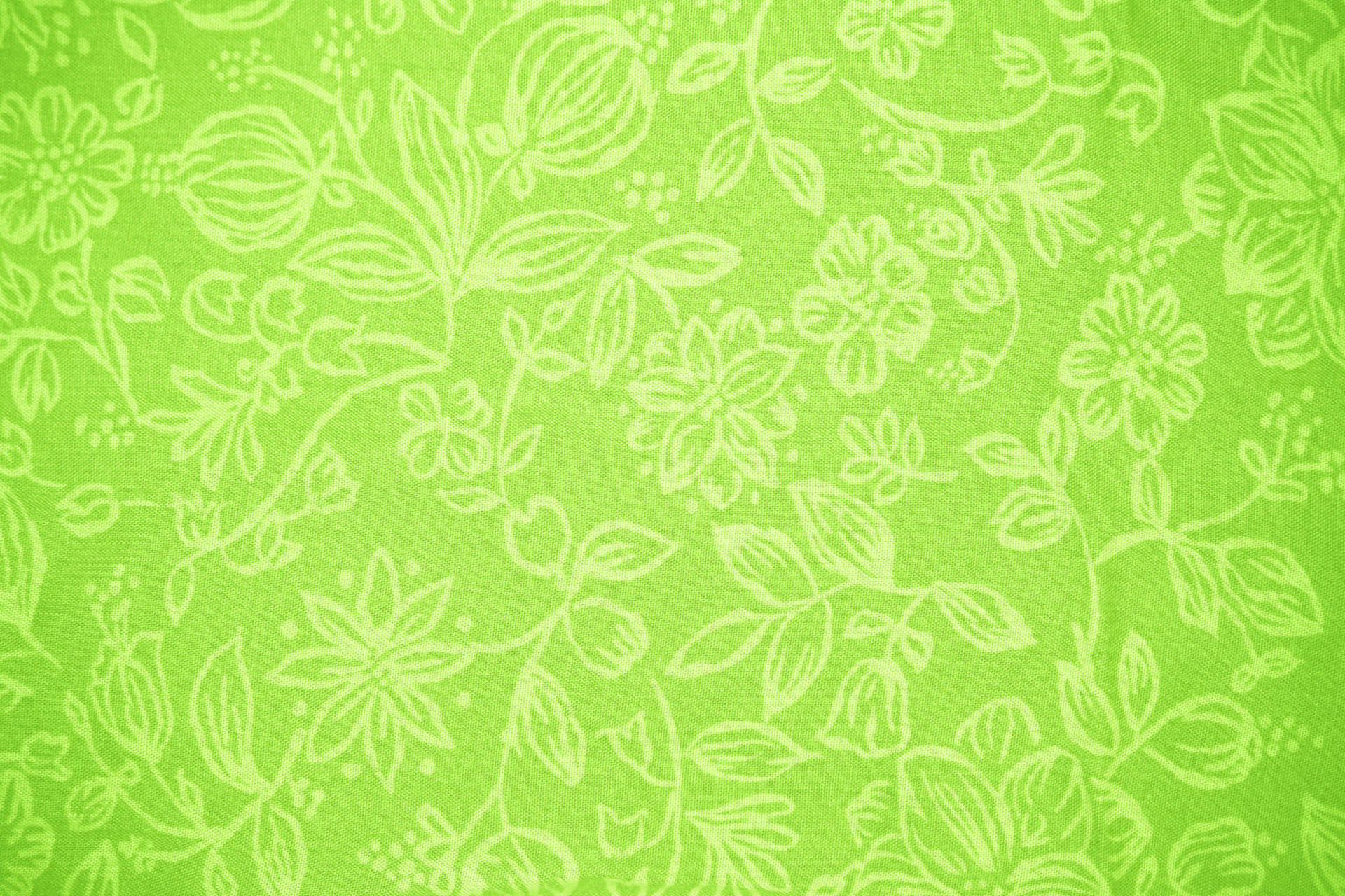 Grøn Floral Lining Wallpaper