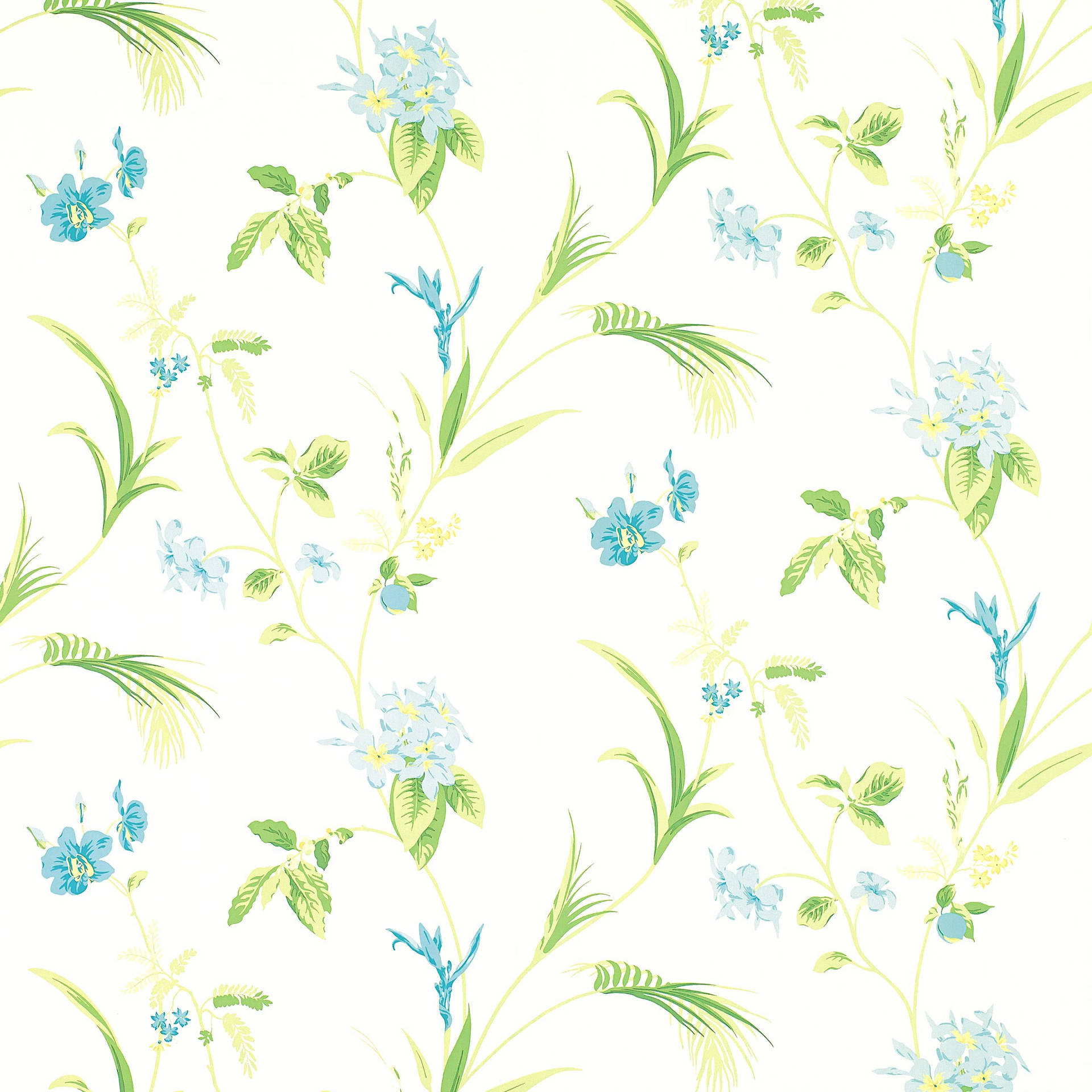 Grønne Blomster Orkideer Wallpaper
