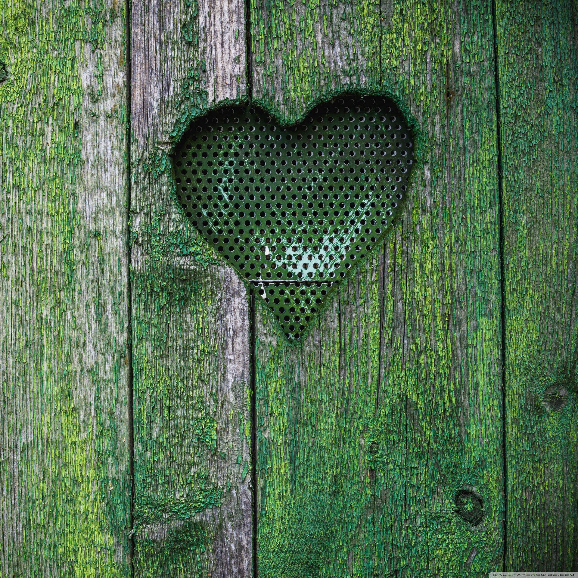 Grønt Hjerte Mossy Wallpaper