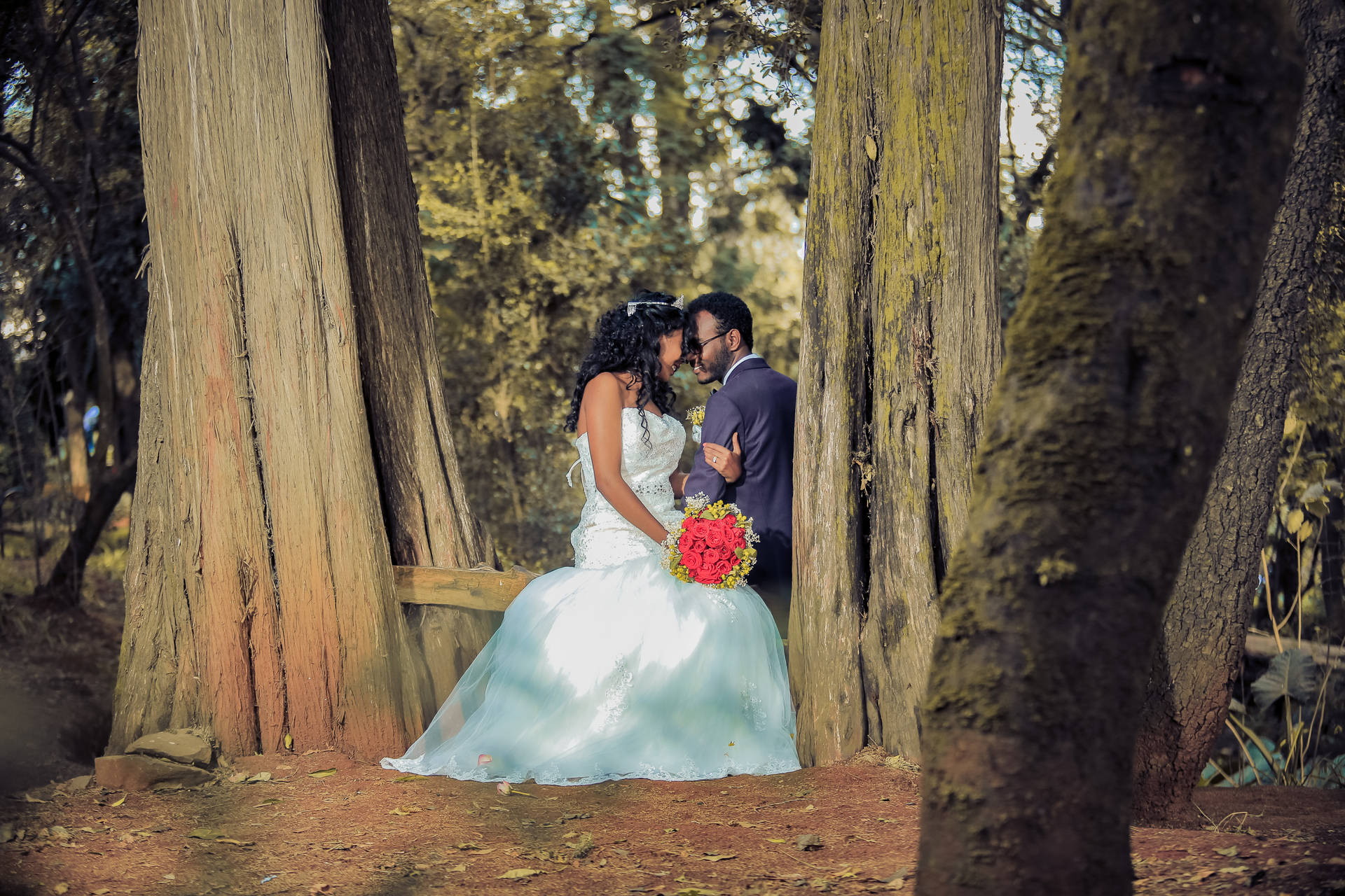 Groom And Bride In Tall Trees Wallpaper