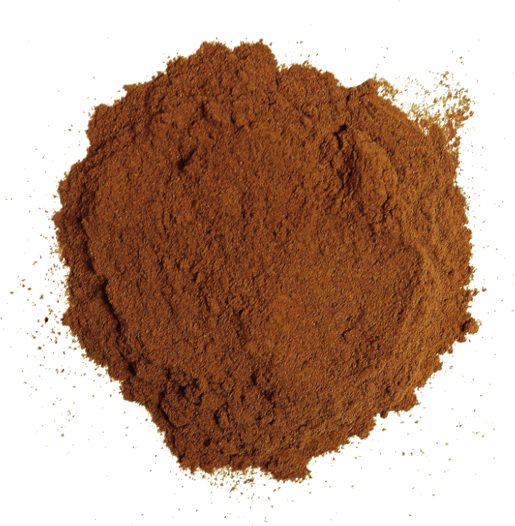 Ground Cinnamon Powder Texture PNG
