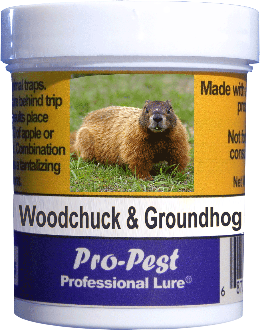 Groundhog Behind Pro Pest Lure Product PNG