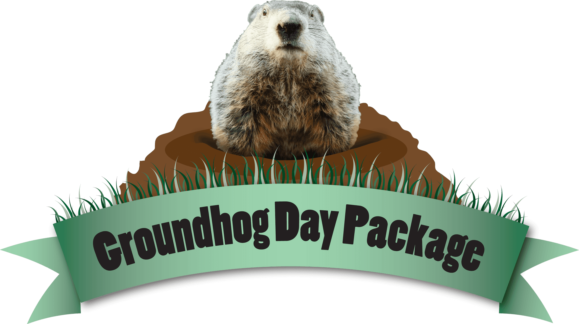 Download Groundhog Day Package Promo | Wallpapers.com