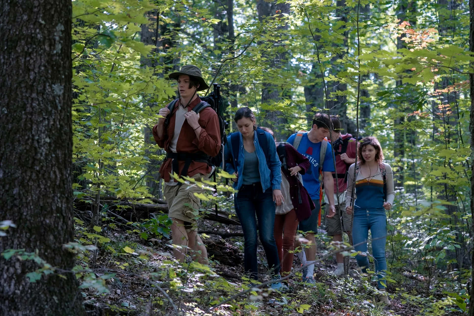 Groupe De Randonneurs Dans La Forêt Fond d'écran