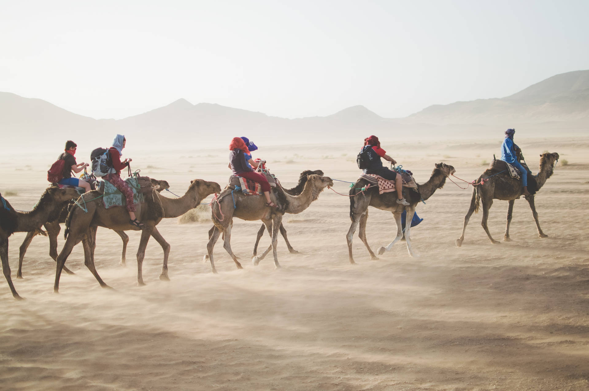 Group Of People Riding Camels Wallpaper